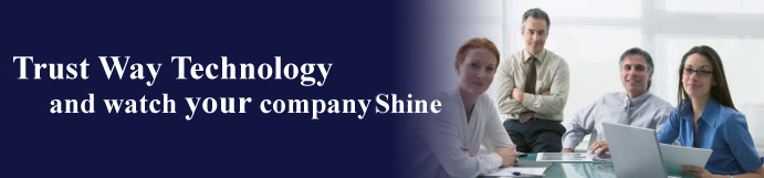 Trust Way Technology and watch your company shine